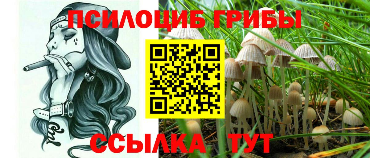 Улан-Удэ  цена   Вход с VPN  Галлюциногенные грибы мицелий 